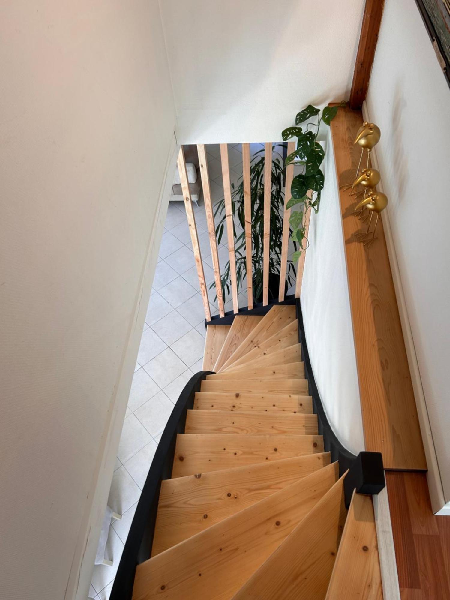 Maison Blanche Lanton Bilik gambar